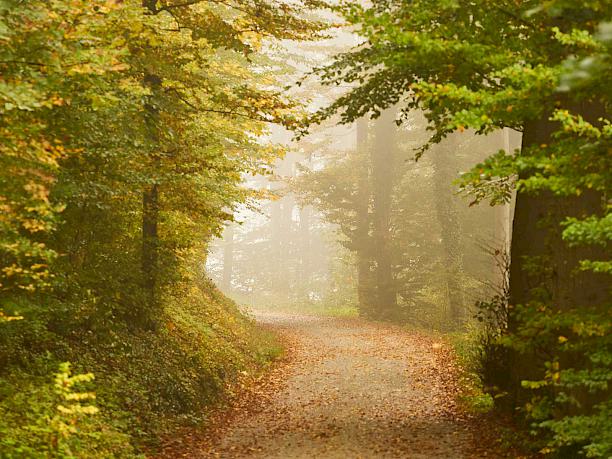 Selbstbestimmt sterben